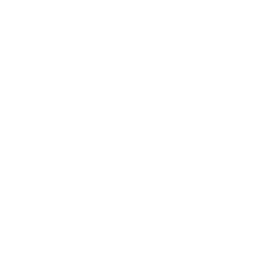 CMS Developer