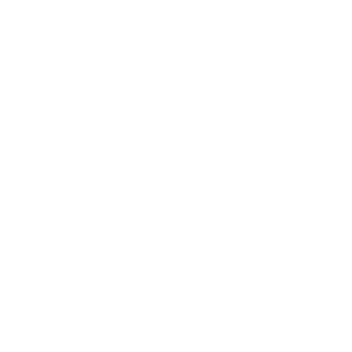 Custom CRM Development