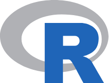 r language